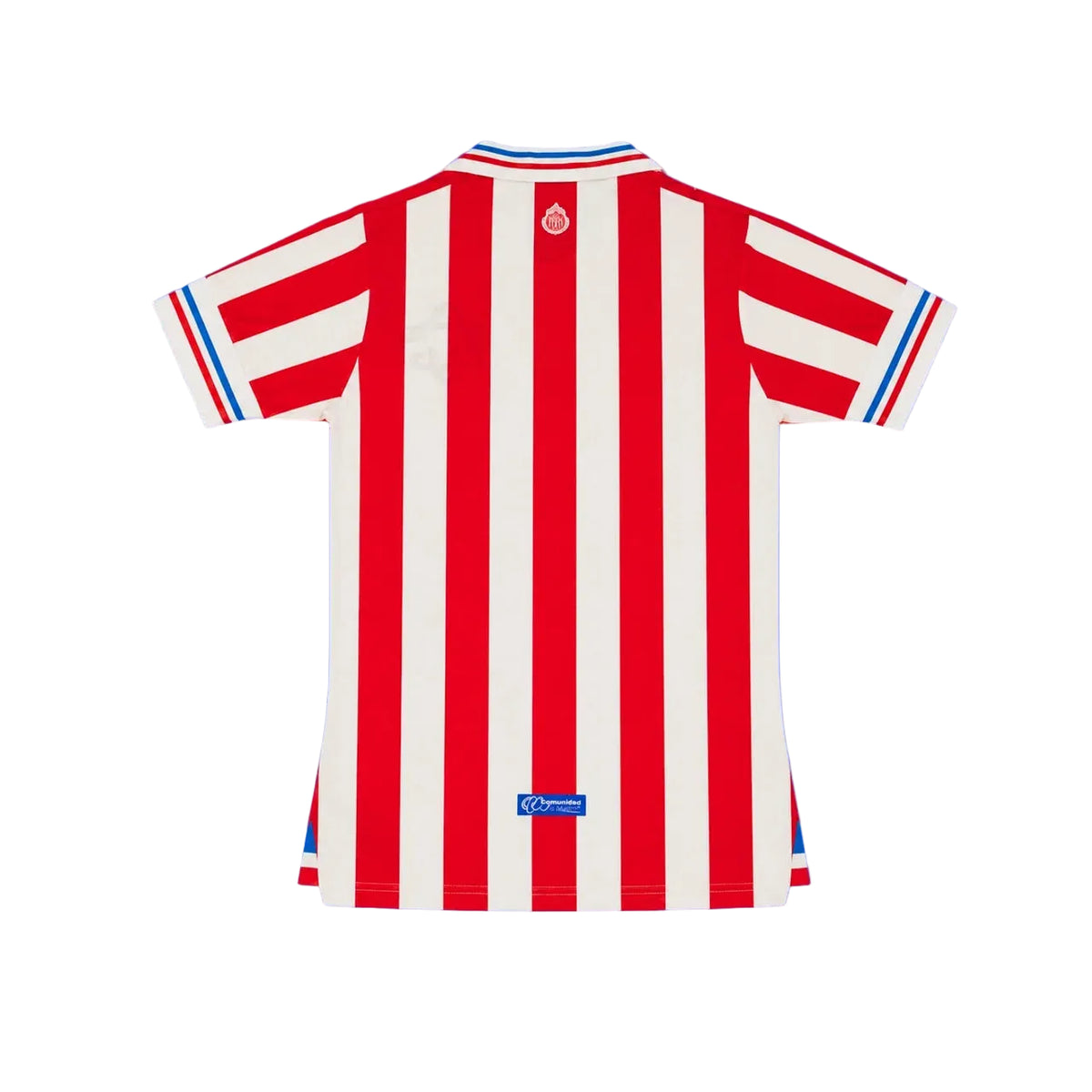 Chivas Local - 110th aniversario