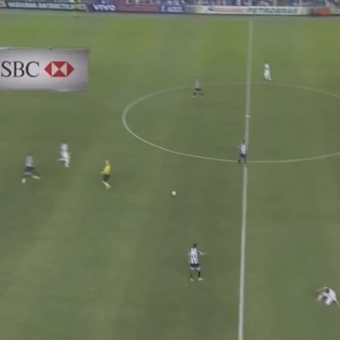 Santos Local 2011/2012